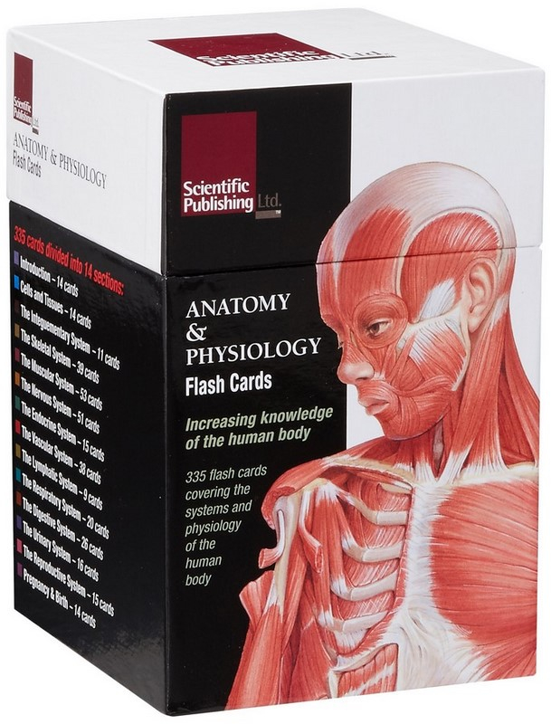 anatomy-and-physiology-printable-flash-cards-freeprintable-me