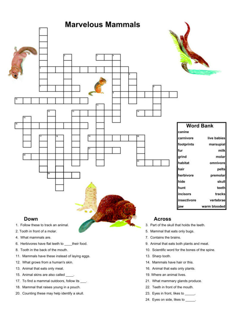activity-alzheimer-s-printable-worksheets-for-dementia-patients