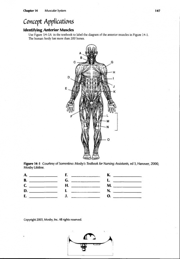 Free Printable Physical Science Worksheets